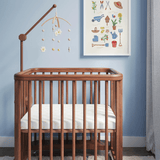 Cuna Evolutiva Gioia Madera